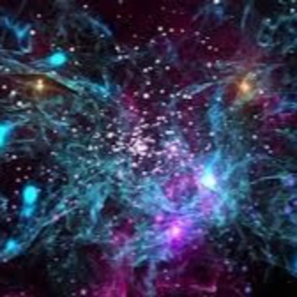 Meet your Posher, Bryan